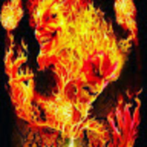 Meet your Posher, Bradley